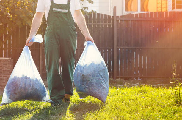 Demolition Debris Removal in Stevensville, MI