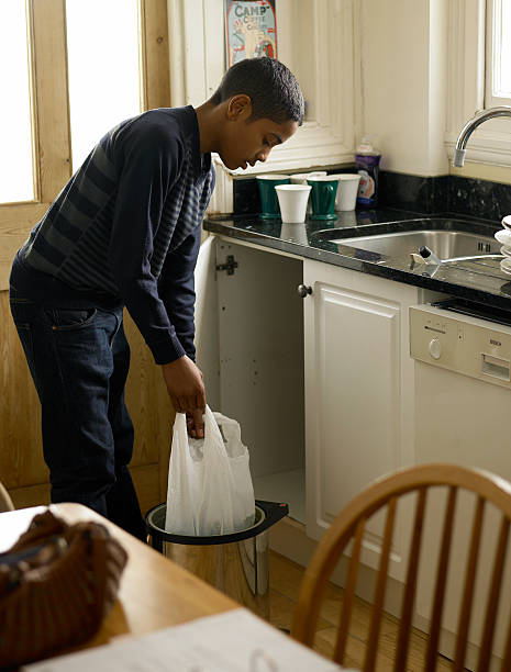 Best Basement Cleanout  in Stevensville, MI